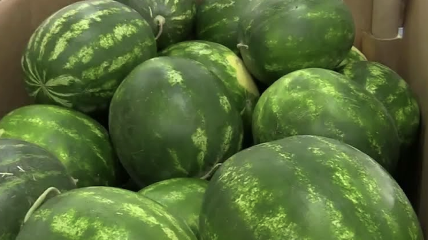 Watermelon