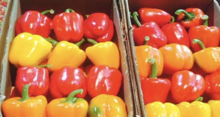 Pepper