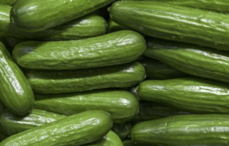 Cucumber