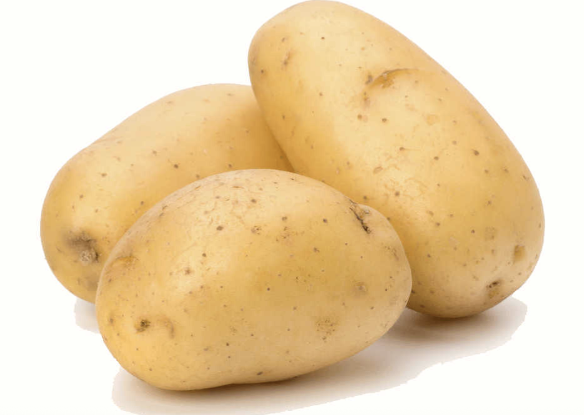 Potato