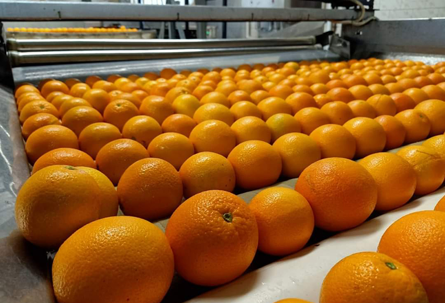 Orange
