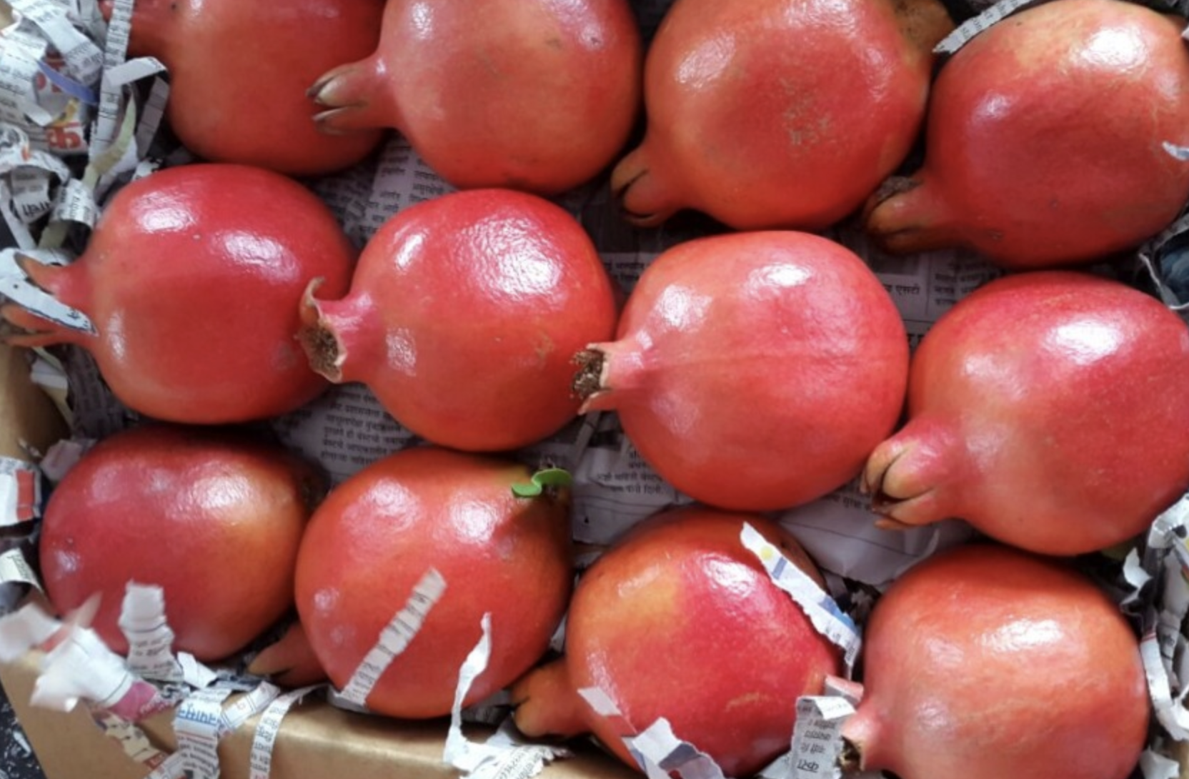 Pomegranate